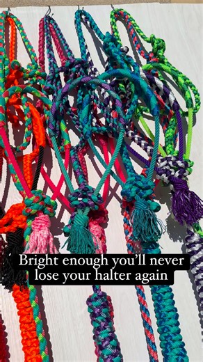 I reach for neon because it’s impossible to lose and looks good on everything. Hand-braided here in Arizona, one at a time. Pick your favorite. #cowgirlgear #barrelracerlife #muletapehalters | Mule Tape Halters