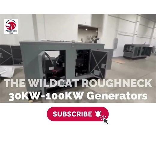 Wildcat Roughneck 30kW Off Grid Power & Industrial Backup Generator 2026