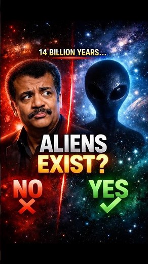 The Universe Is Too Big For Us To Be Alone #neildegrassetyson