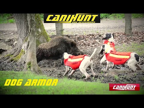 Gilet de protection DOG ARMOR CANIHUNT