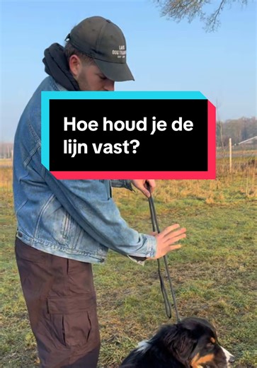 Houd jij de lijn correct in je hand? Iedereen heeft z'n voorkeur. Maar mocht je struggles hebben met je hond leren volgen is dit stap 1. 🙏🏼❤️🐾 #larsdogtraining #hondentips #hondentrainen