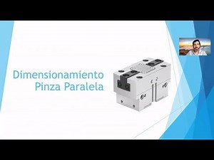 Selección y dimensionamiento de Pinza Paralela