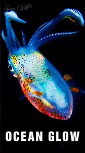 Mesmerizing Bioluminescent Squid | Relaxing Deep Sea