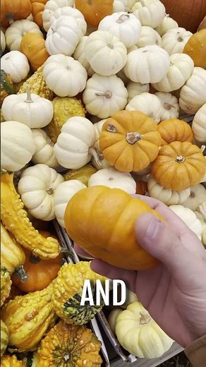Carving a Tiny Jack-o-lantern