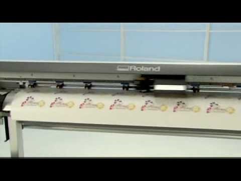Roland VP 540 VP 300 Print/Cut Wide Format Printer