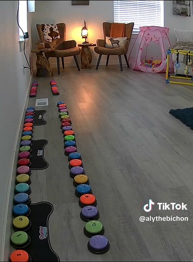 Dogs Communicating with Buttons: Unlocking Their Language