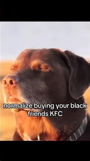When you have black friend #shorts #trendingshorts