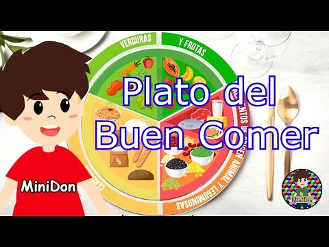 El plato del buen comer. ¿Cómo llevar una alimentación más sana?