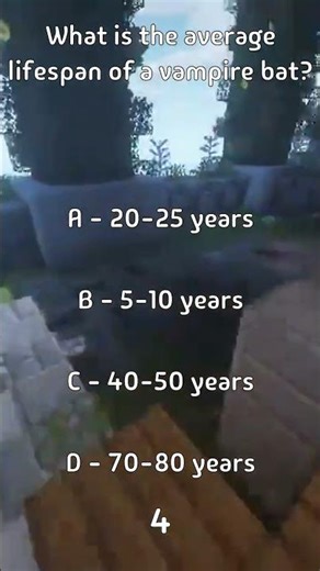 What is the average lifespan of a vampire bat?