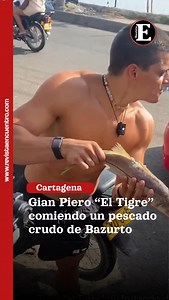 680K views · 3.9K reactions | El creador de contenido y atleta venezolano, Gianpiero Fusco, conocido como “El Tigre”, además de compartir su pasión por el deporte, mostró su cercanía con la cultura local al recorrer barrios como La Quinta y Bazurto. Además, se destaca por su dieta fitness que incluye carne cruda, “El Tigre” sorprendió a los cartageneros al disfrutar de un pescado crudo, un plato típico del mercado. | Revista Encuentro | Facebook