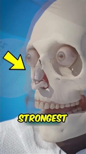 The Strongest Bone in Your Body Isn't What You Think!