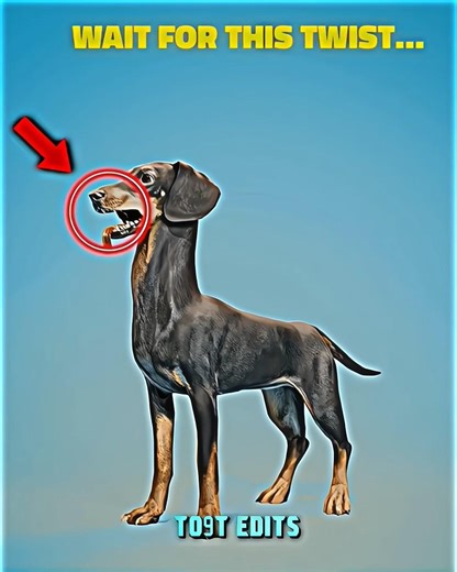 Moments Jesus PROTECT💀 #jesusprotects #faithshield #viralvideo#holyguard #edittrend #faithzone