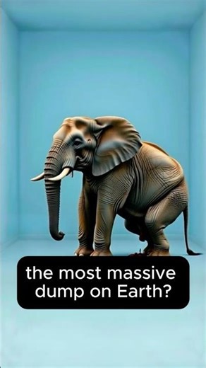 The Biggest Poop in Nature Will SHOCK You 🌊
