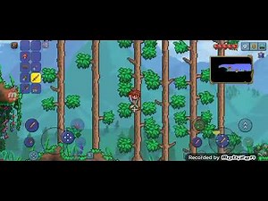 Terraria Tutorial Gameplay and It was So easy
