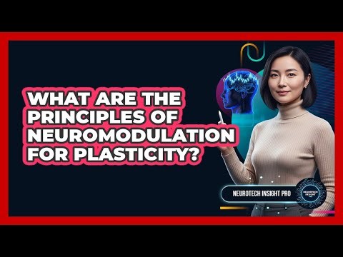 What Are The Principles Of Neuromodulation For Plasticity?