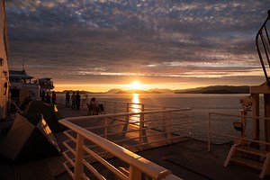 U.S. National Forests