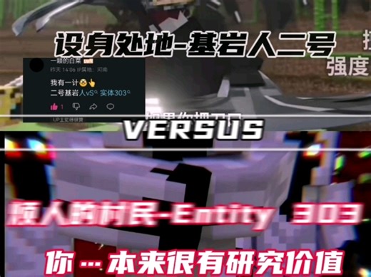 设身处地-基岩人二号VS烦人的村民-Entity 303
