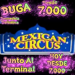Se va, se va Mexican Circus - Entrada desde $7.000 Últimos días, disfruta de las mejores presentaciones junto a la terminal de transporte de Buga. Mexican Circus, únicas 2 semanas, precios super baratos, muy baratos, re baratos, vamos todos al circo. Funciones lunes a viernes 6 pm y 8 pm. Sábado, Domingo y festivo 4 de la tarde, 6 pm y 8 pm. Descuento para grupos familiares, información y reservas: 3165494915 o 3165100090 | CNC BUGAVISION | Facebook