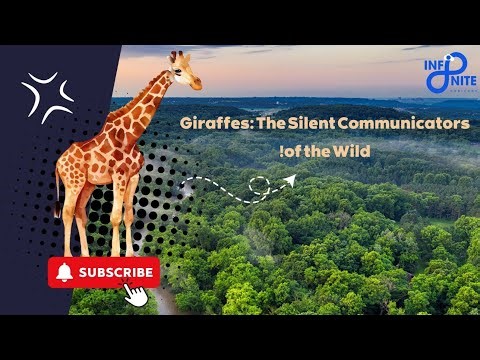 "Giraffes Communicate Silently? Discover Their Hidden Language!"