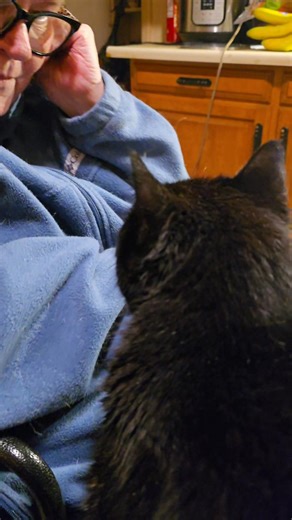 My mom is the definition of a crazy cat lady lol I think she talks to her cats more than people 😂 She sings this to Midnight all the time 💕 | Mercedes Lynn Escoto