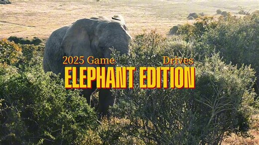 Isaac John on TikTok