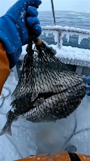 POV Survival in the Snow | Breaking Ice to Catch Fish