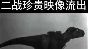 互联网meme搞笑时刻