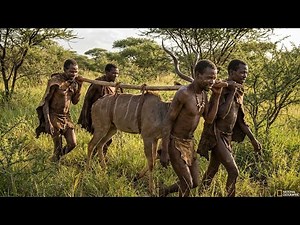 24 Hours With Africa's Last Stone Age Tribe | The Hadzabe Tribe's Deadly Lion Territory