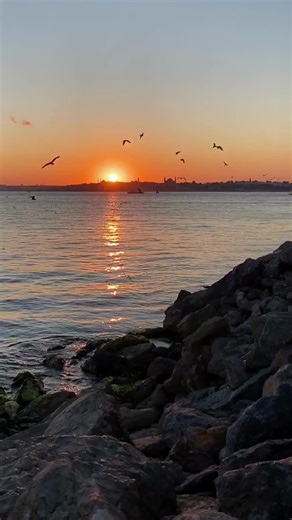 Best Facebook Video Downloader for Easy Saving