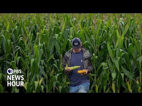 Farmers warn of food price spike as war drives up fuel and fertilizer costs