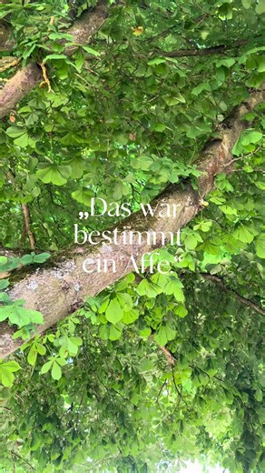 Wir entdecken die Natur mit all unseren Sinnen - Krippe „Am Freibad“