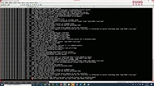 CUUG_PostgreSQL 12.2 pgpool-ha实现方案_clip8