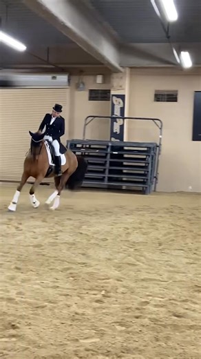 Andrea Fappani riding Diva at the 2024 ALONG For The RIDE Symposium 🤠 | AnnA Buffini Dressage