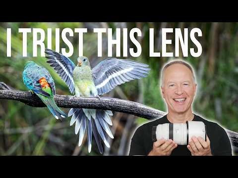 Why I Keep Reaching for the RF 100–500 Even With the 200–800 in My Bag