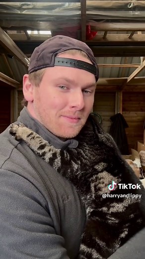 Understanding Cat and Bird Interactions