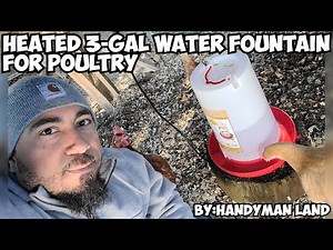 Heated Chicken Waterer for Winter 🐔 | Farm Innovators 3 Gallon Poultry Fountain