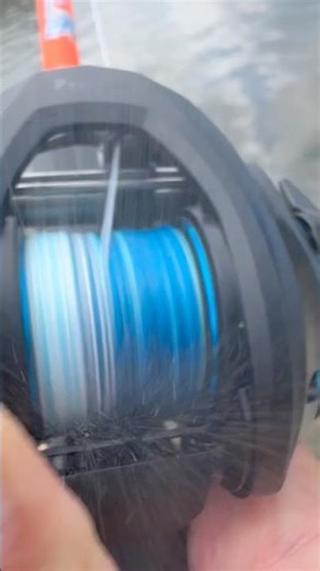 Stealth Meets Strength 🎯💙 #reactiontackle #fishinglife