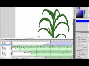 ALAN BECKER - Shape Tweens