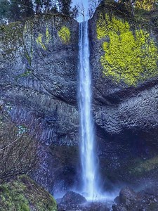 An easy waterfall stop inside Guy W. Talbot State Park in the Columbia River Gorge. 🌲 Latourell Falls drops about 224 feet straight over columned basalt cliffs often covered in bright green lichen. 💧 A short 0.2-mile paved walk leads to the base of the falls. 👣 A 2-mile loop trail connects upper and lower viewpoints through forest scenery. 🌿 A simple, scenic stop to add to any Columbia River Gorge drive. 📸 #ColumbiaRiverGorge #LatourellFalls #Oregon #pacificnorthwest | The PNW Bucket List