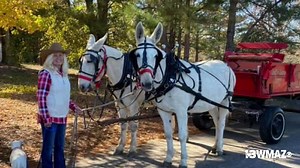 Over 1,000 people show up for Lizella's 2nd annual Christmas parade