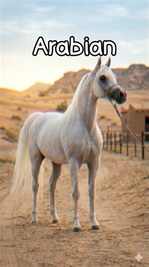 5 Most Popular Horse Breeds In The World! 🐴 #horseshorts #popularhorses #horsebreeds