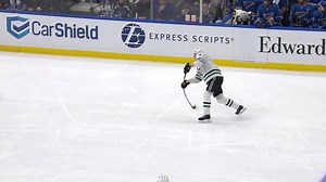 11K views · 795 reactions | That was a MEAN tip-in by Tyler. | Dallas Stars | Facebook