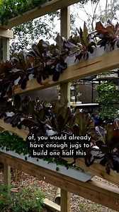 Whether it's milk jugs, ramen trays takeout containers, glass jars, etc, saving them up does not take as long as you think. Because they get tossed out or recycled so quickly nowadays, we sometimes don't realize how many we actually go through. I am not doing some amazing feat, I'm just saving a few things from the landfill. You can too! 😀🌿❤ #towergarden #diy #gardening #hydroponics | Keep on Growin'