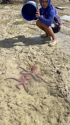 Red octopus | Ran Olivares