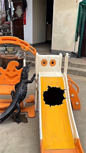 The black crocodile entered the slider itself 😲 #shorts #crocodile #youtubeshorts #shortsfeed