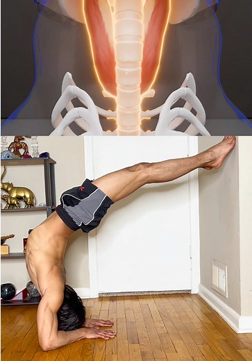 Unlock Your Upper Back: Desk Job Relief Stretches