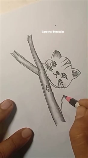 learn how to draw a beautiful panda #shorts #shortsvideo