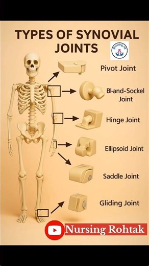 Types of synovial joint 🦴#medical #ytshorts#anatomy#synovialfluid #youtubeshorts#nursingnotes #viral