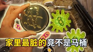 【中配】家中最脏的角落大揭秘 细菌实验结果令人震惊 - Action Lab Shorts