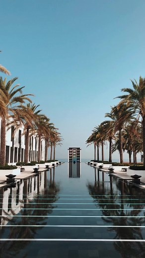 The Chedi Muscat #thechedi #oman #muscat #resort #beautiful #palmtrees #february2020